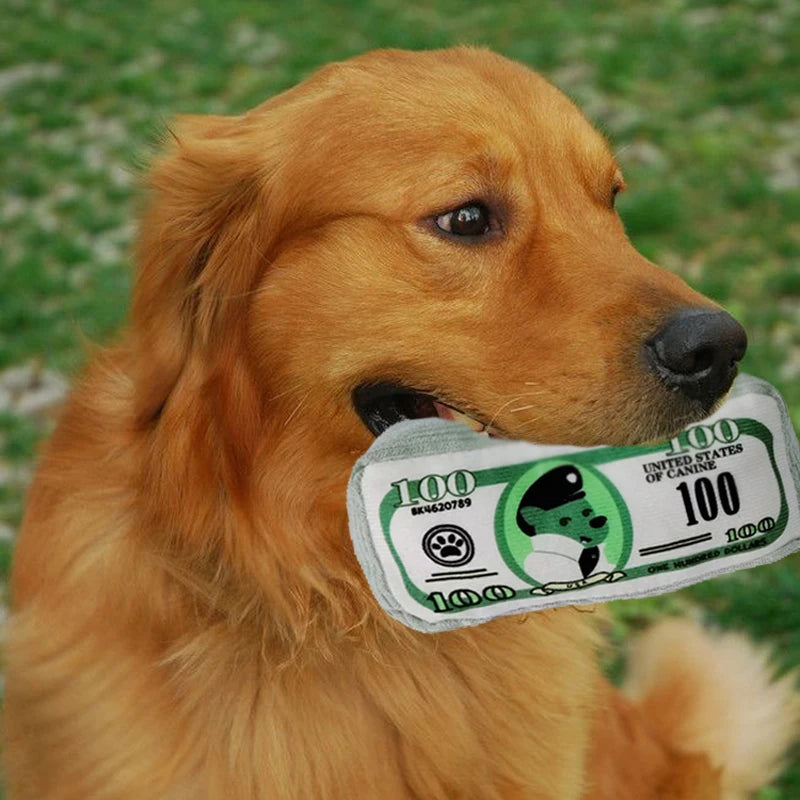 100$ Bill Squeaky Dog Toy