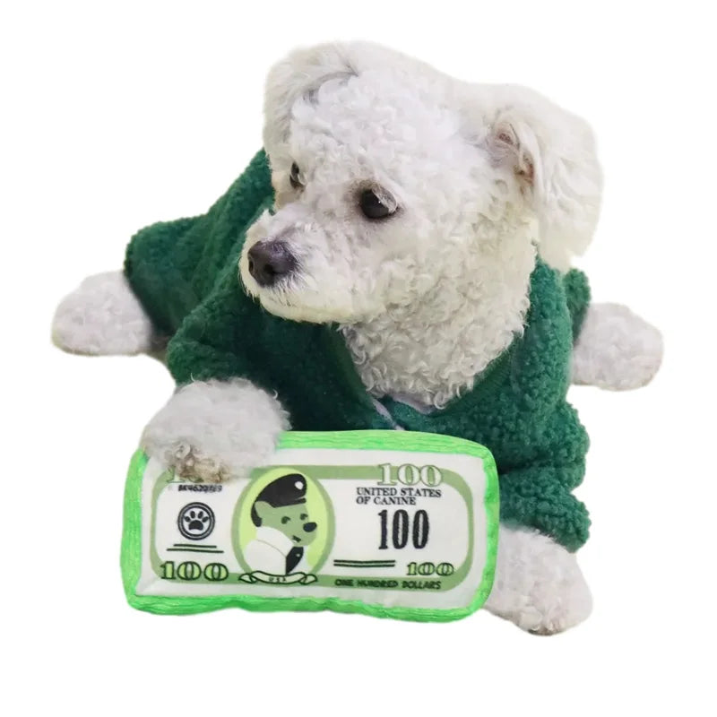 100$ Bill Squeaky Dog Toy