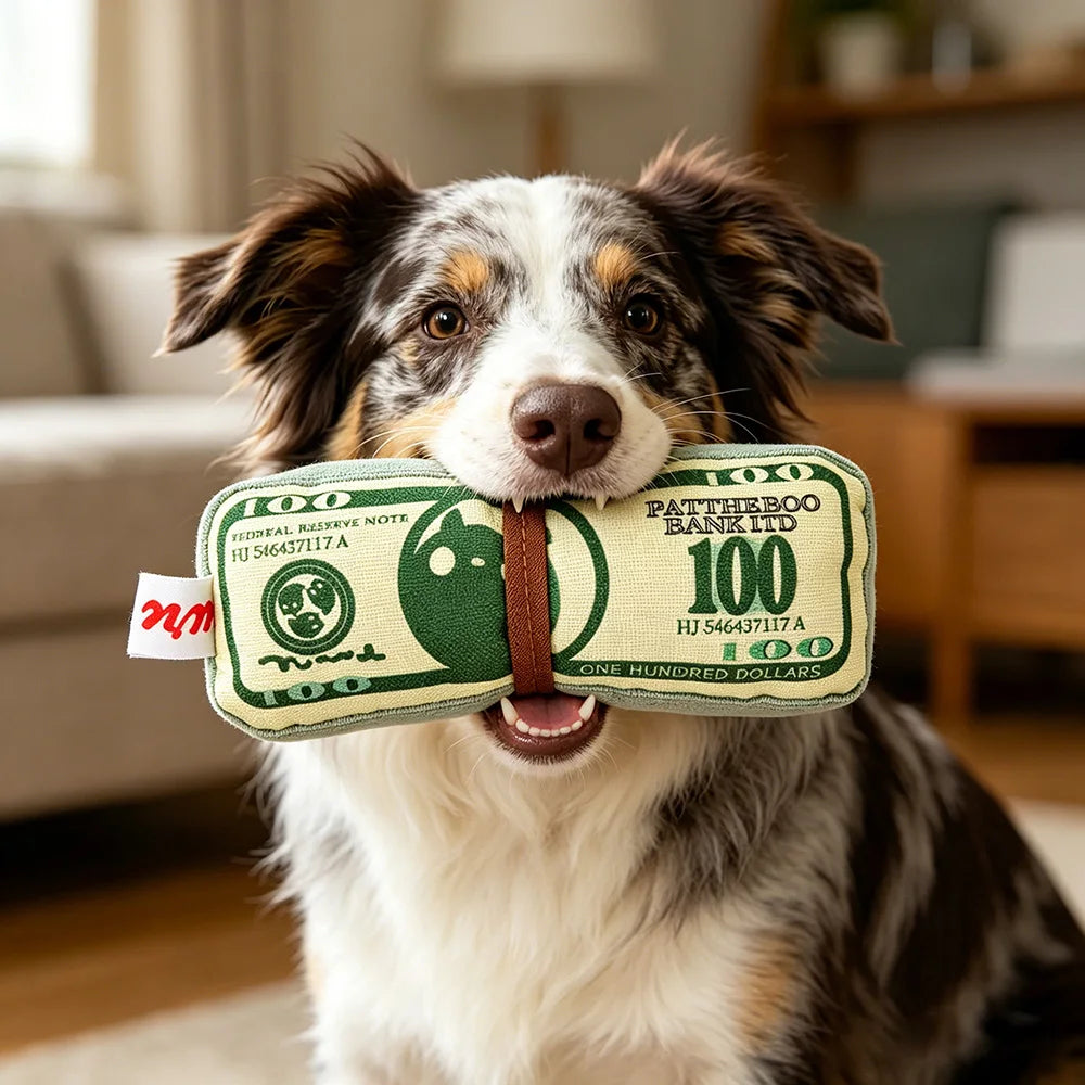$100 Bill Pet Toy