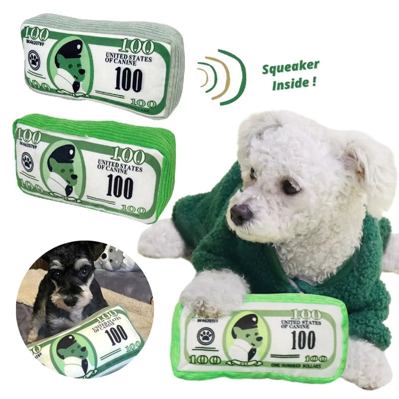 100$ Bill Squeaky Dog Toy
