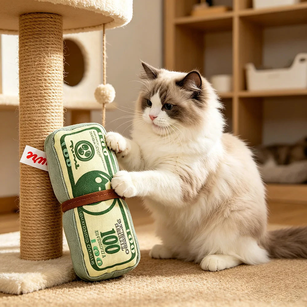 $100 Bill Pet Toy