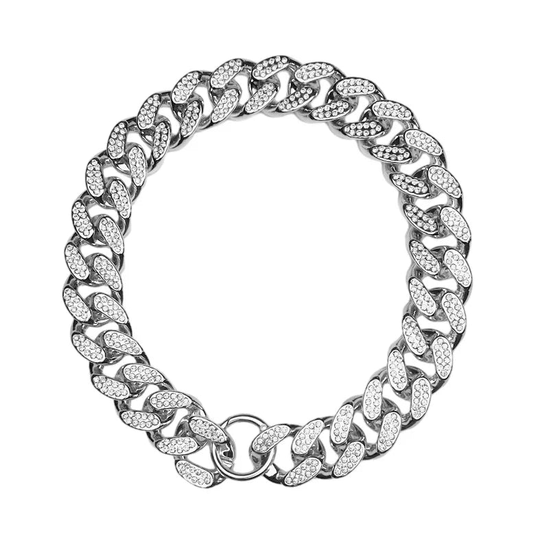 Silver and Gold Dog Collar Chain