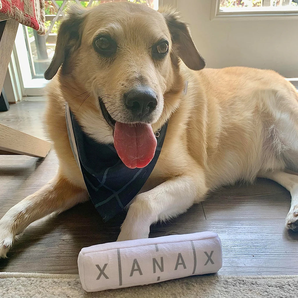 Chill Pup Squeaky Funny Dog Toy