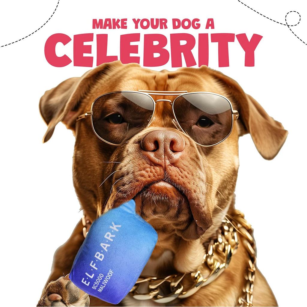 Funny Dog Squeaker Toy