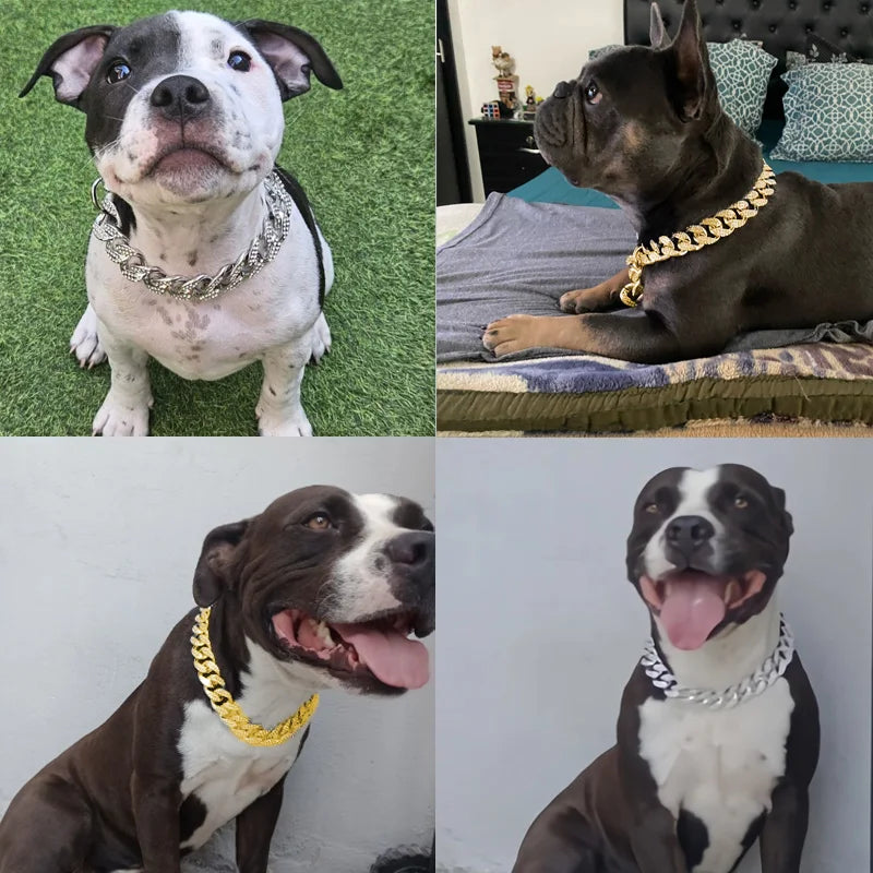 Silver and Gold Dog Collar Chain