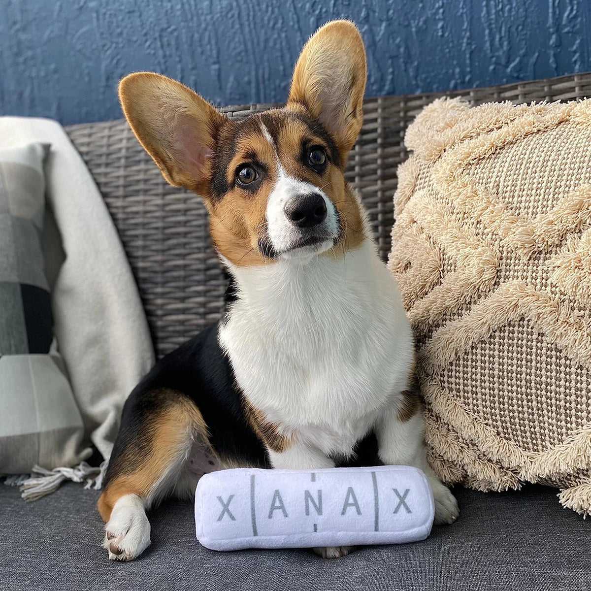 Chill Pup Squeaky Funny Dog Toy