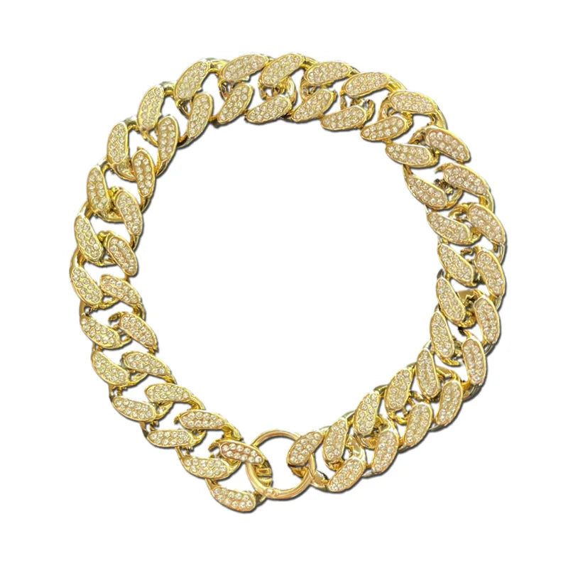 Silver and Gold Dog Collar Chain